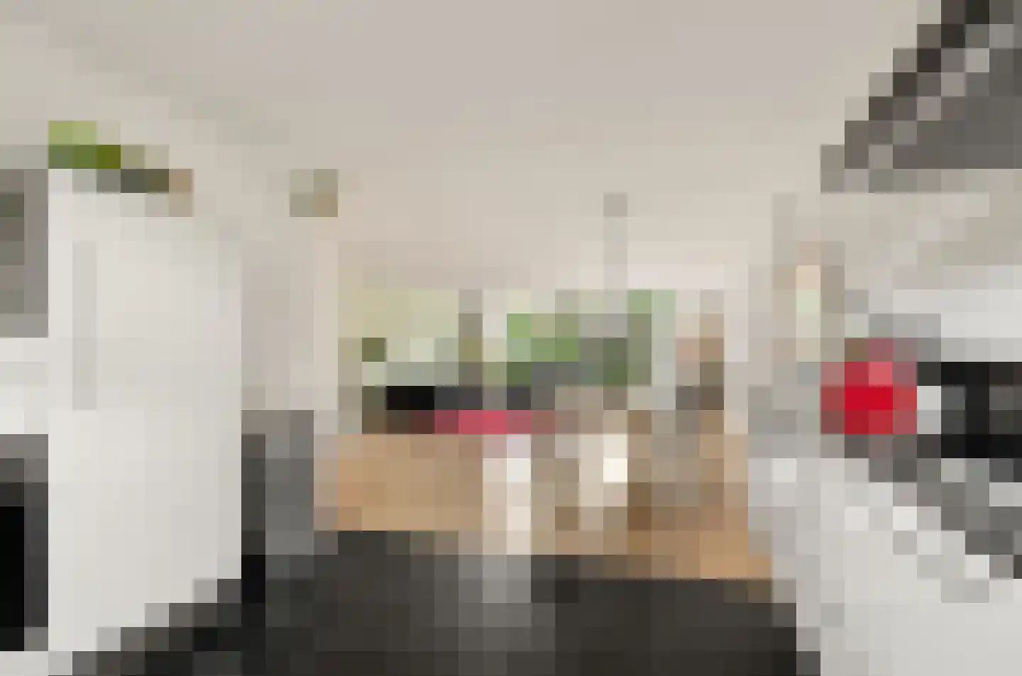 Parelgras 4 Houten thumbnail 15