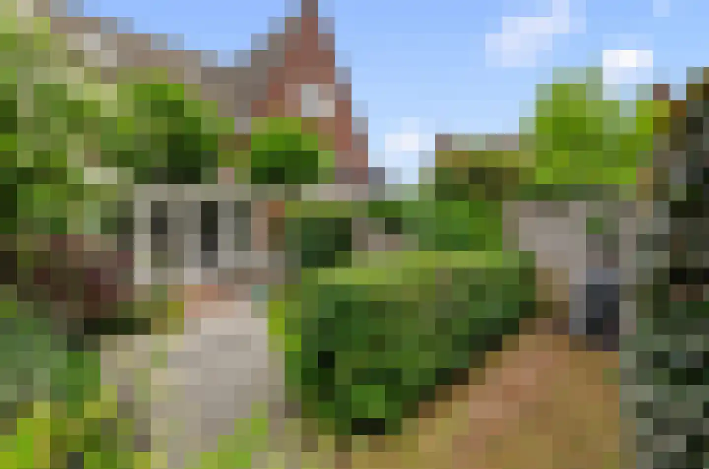 Parelgras 4 Houten thumbnail 19
