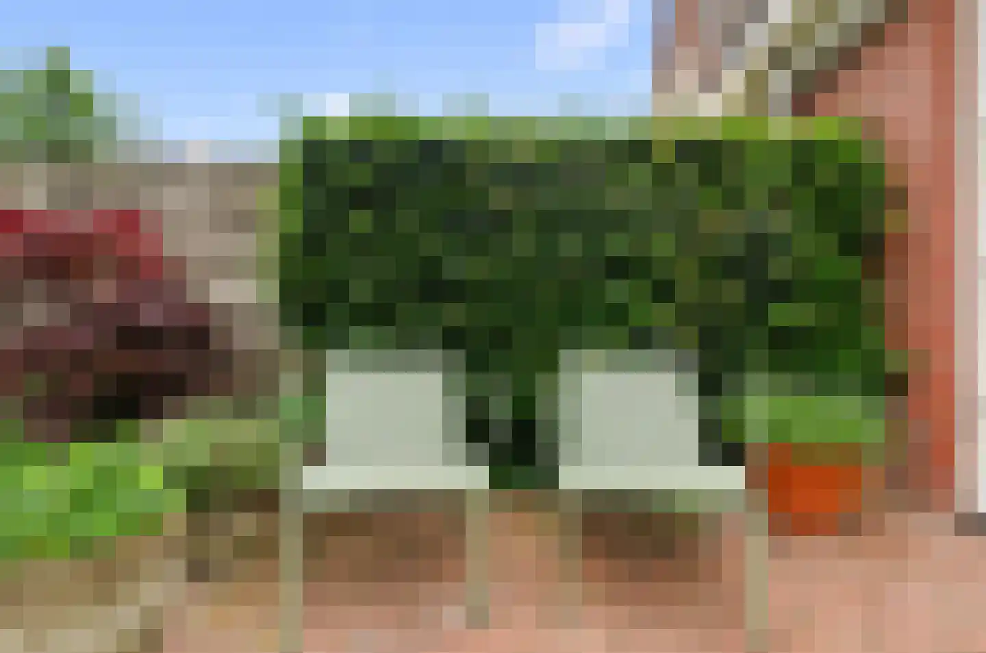 Parelgras 4 Houten thumbnail 20