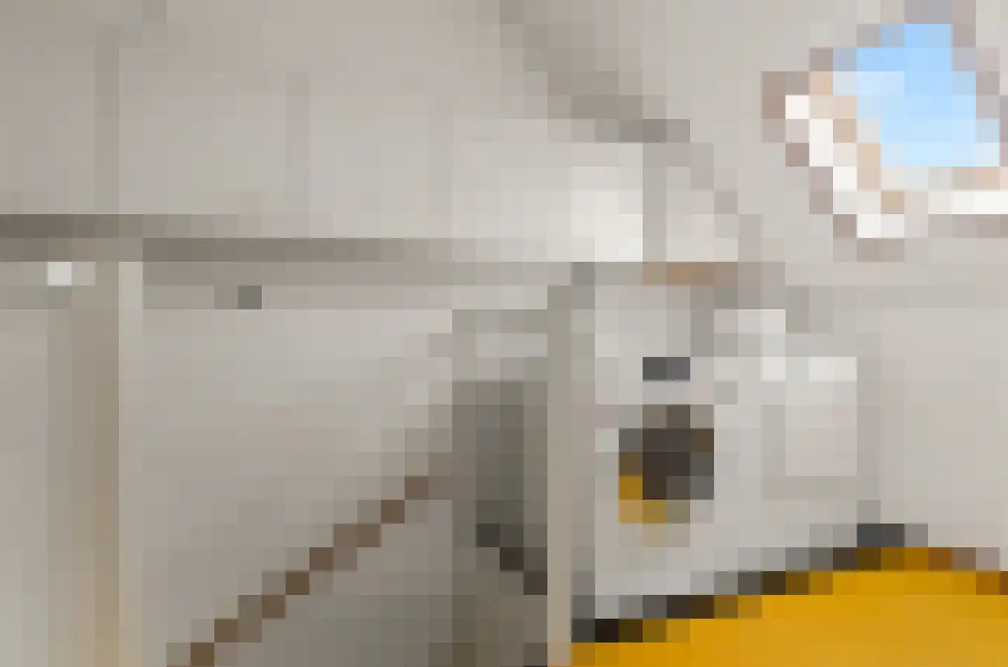 Parelgras 4 Houten thumbnail 31