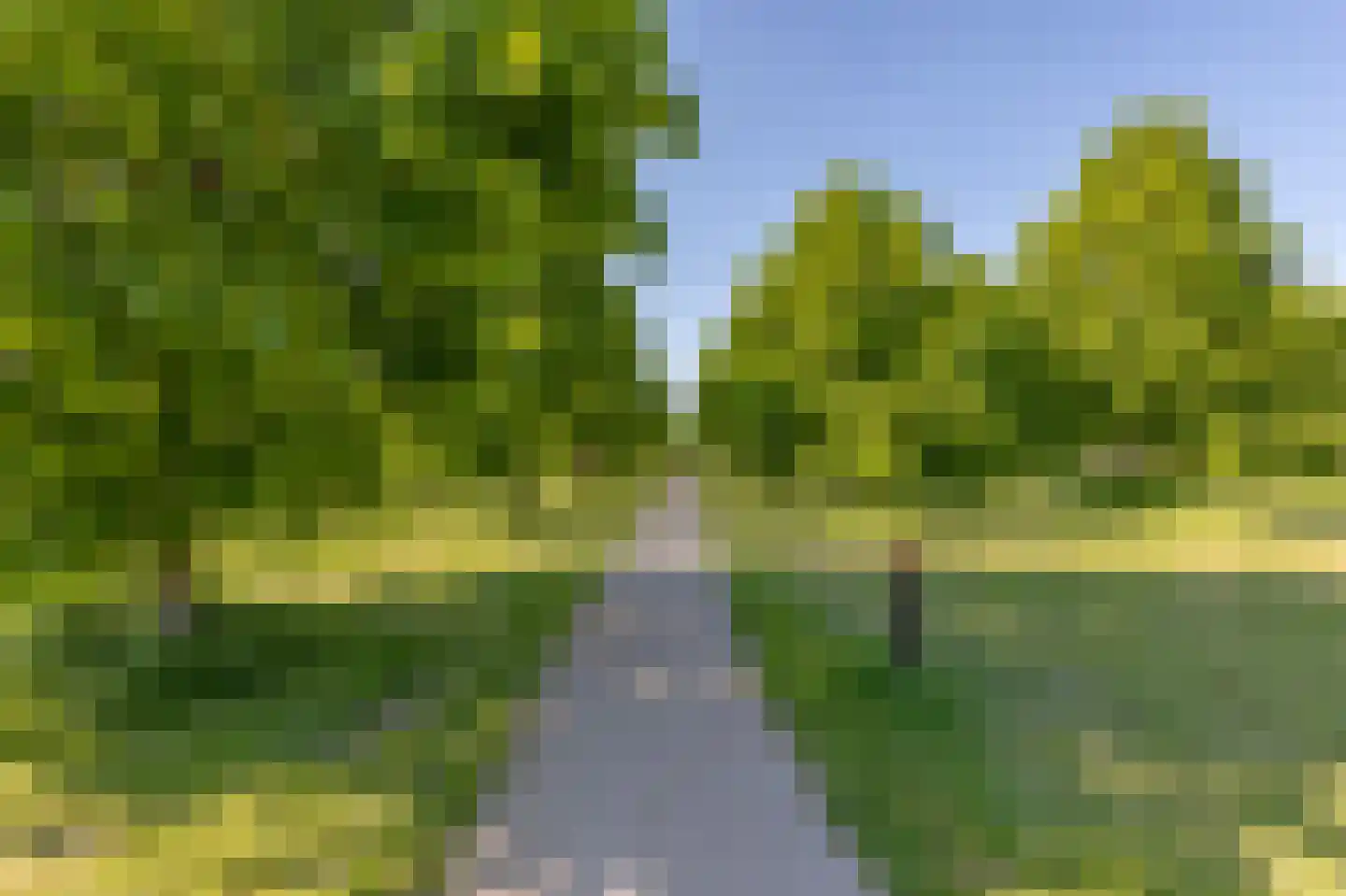 Parelgras 4 Houten thumbnail 40