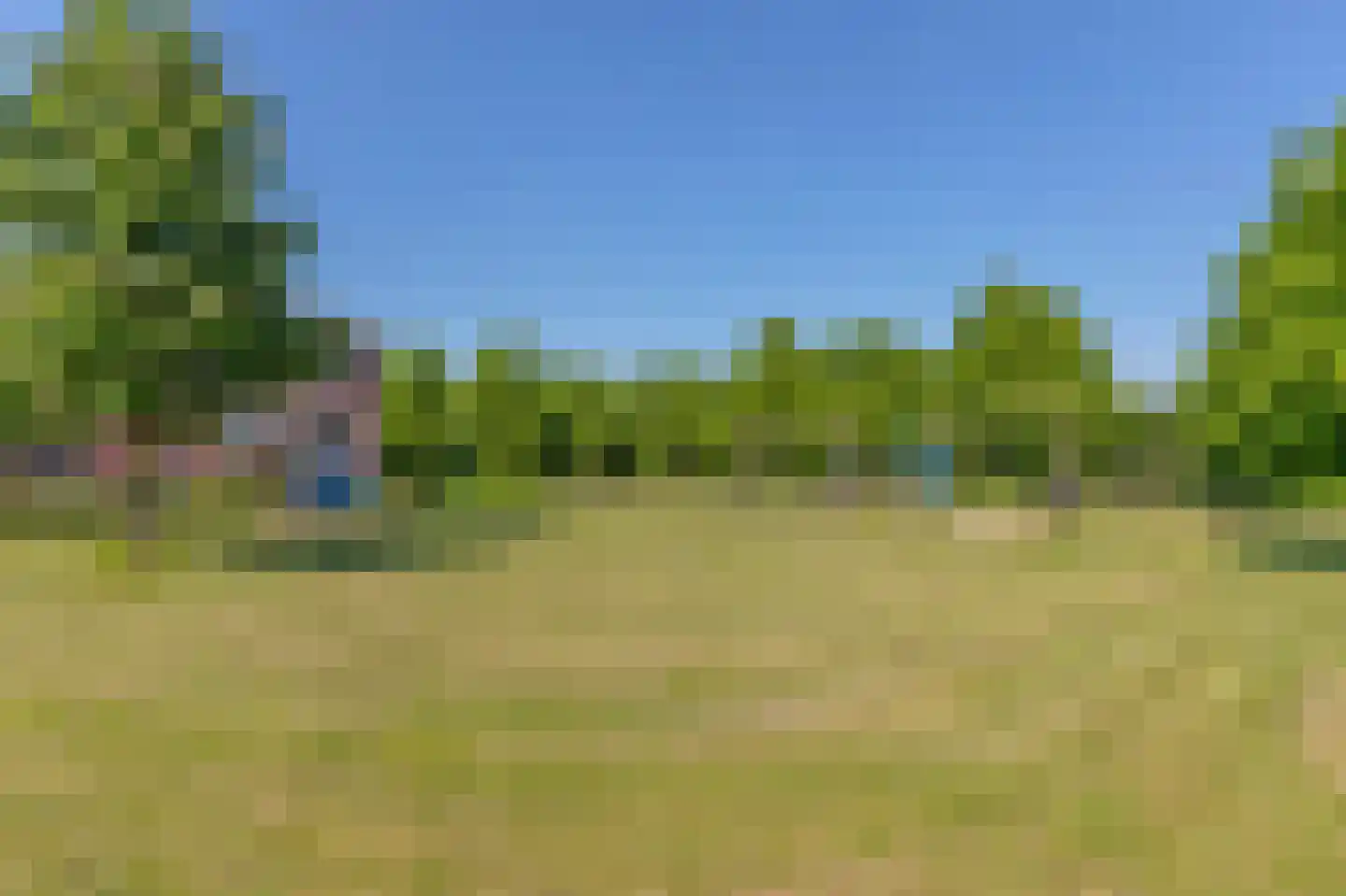 Parelgras 4 Houten thumbnail 41