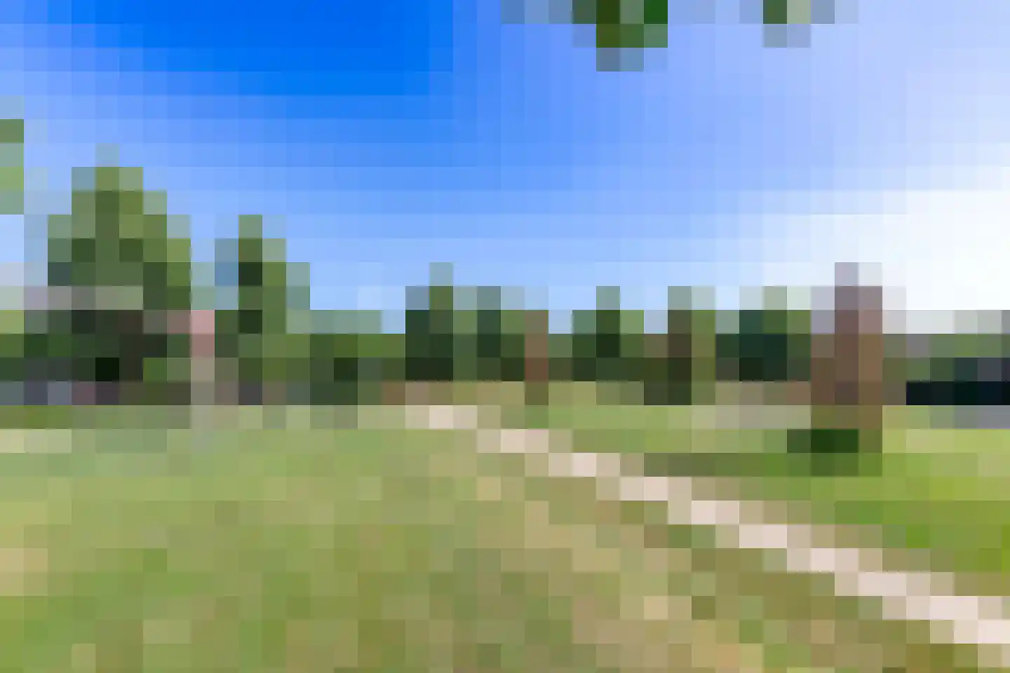 Parelgras 4 Houten thumbnail 42