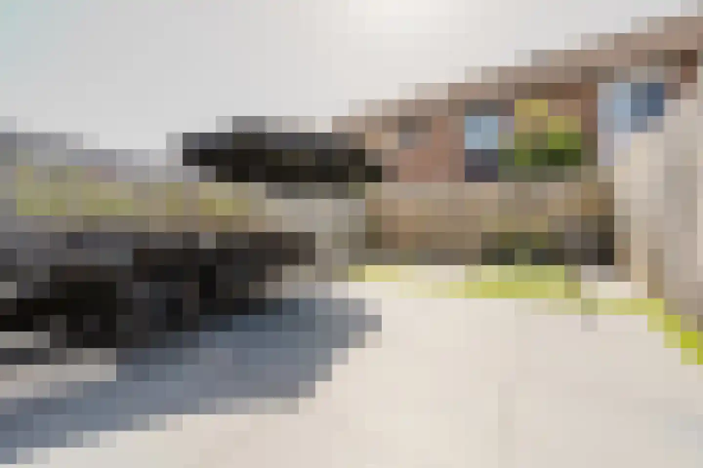 Parelgras 45 Spijkenisse thumbnail 23