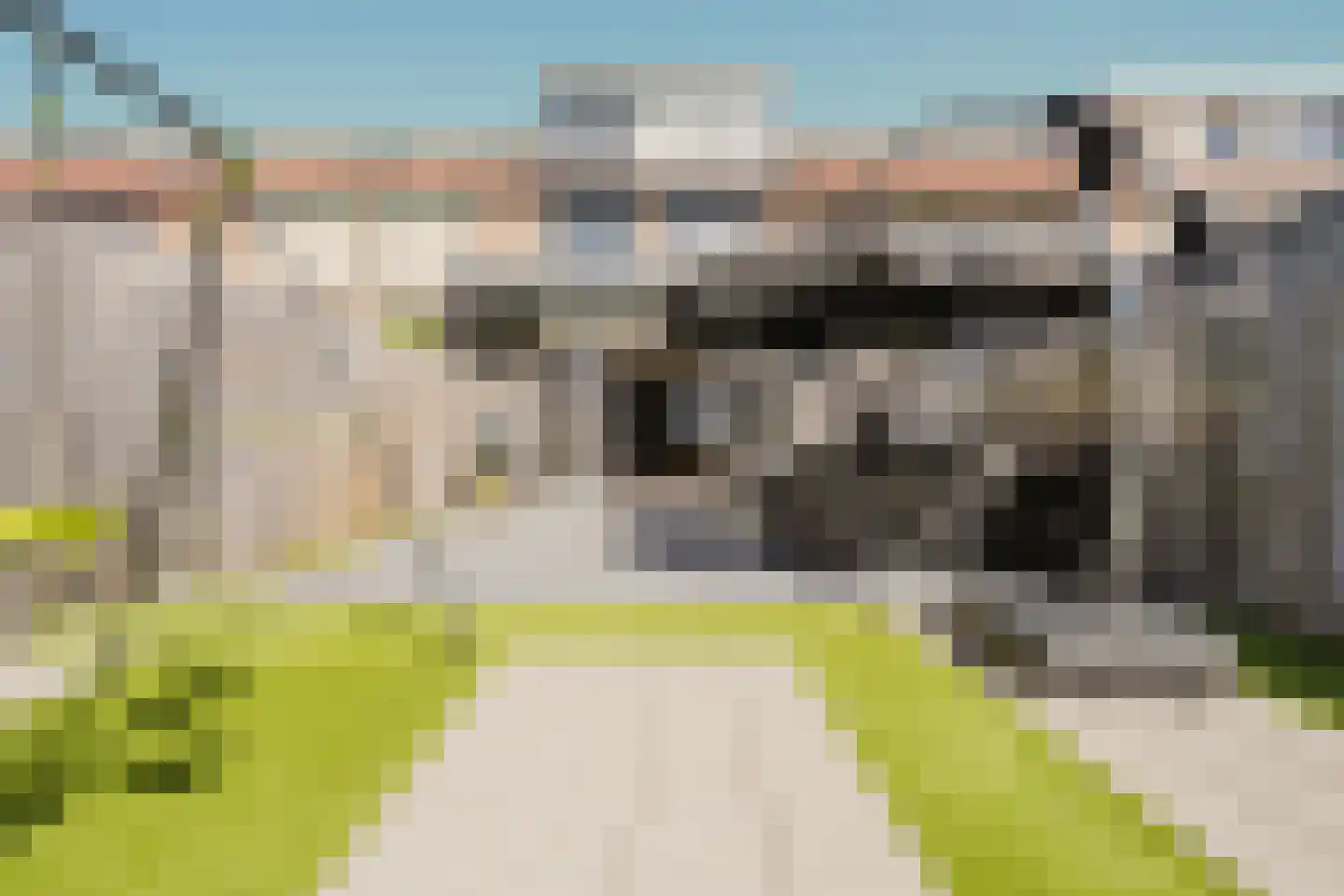 Parelgras 45 Spijkenisse thumbnail 5