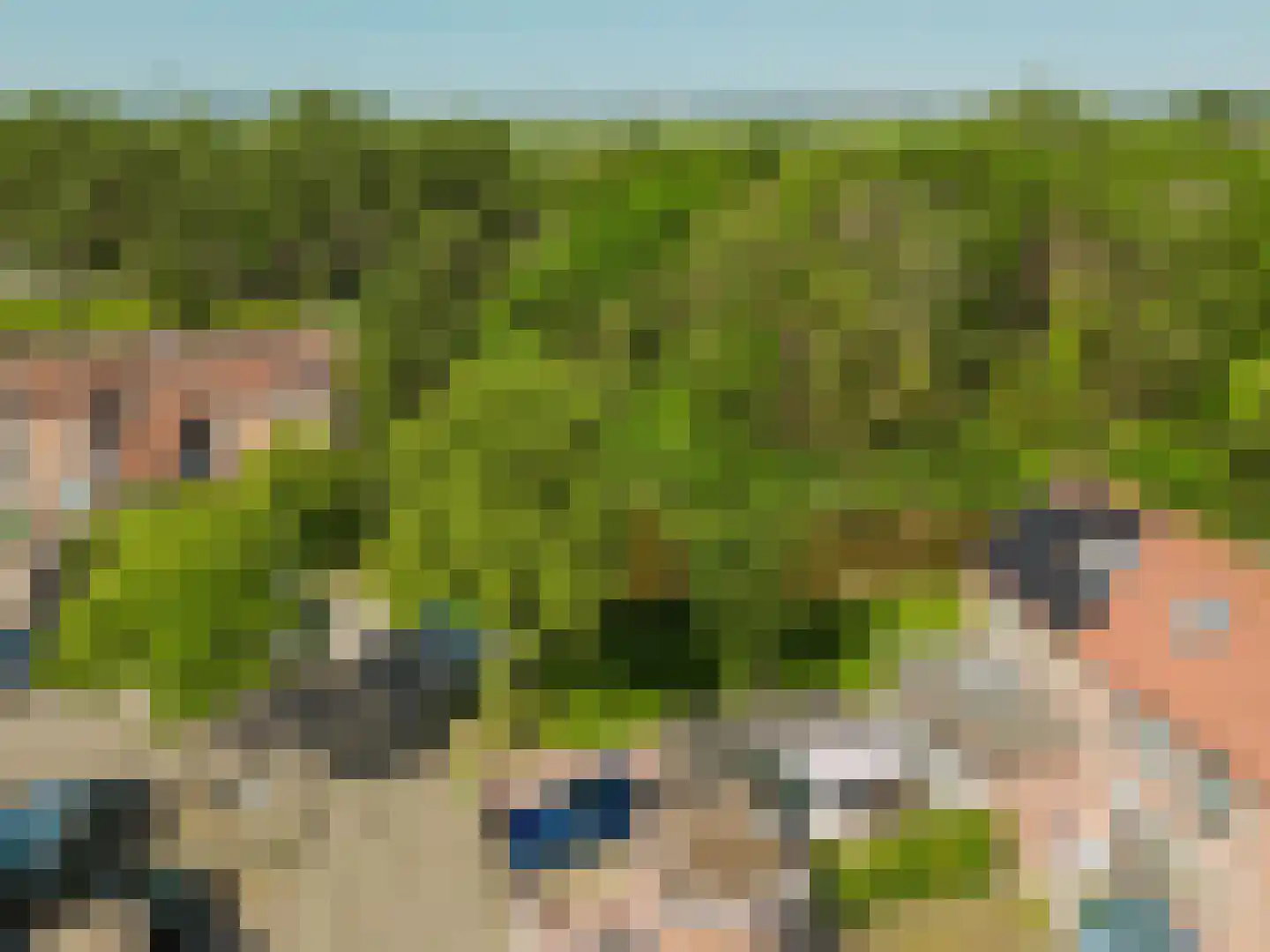 Parelgras 45 Spijkenisse thumbnail 6