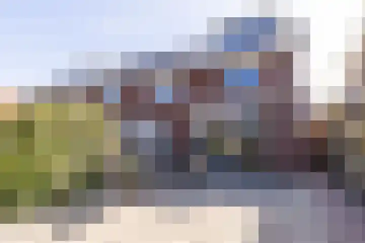 Parelgras 55 Wognum thumbnail 4