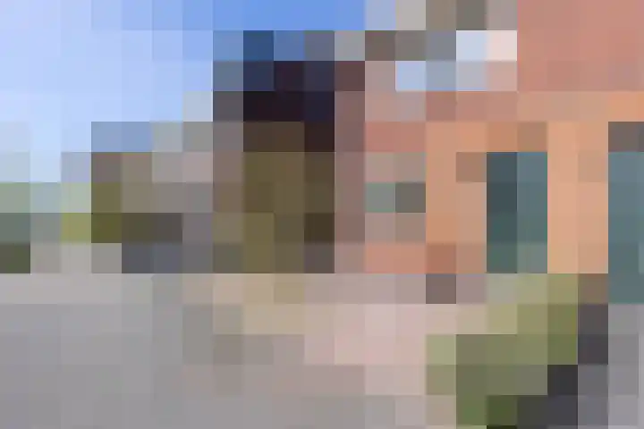 Parelgras 55 Wognum thumbnail 6