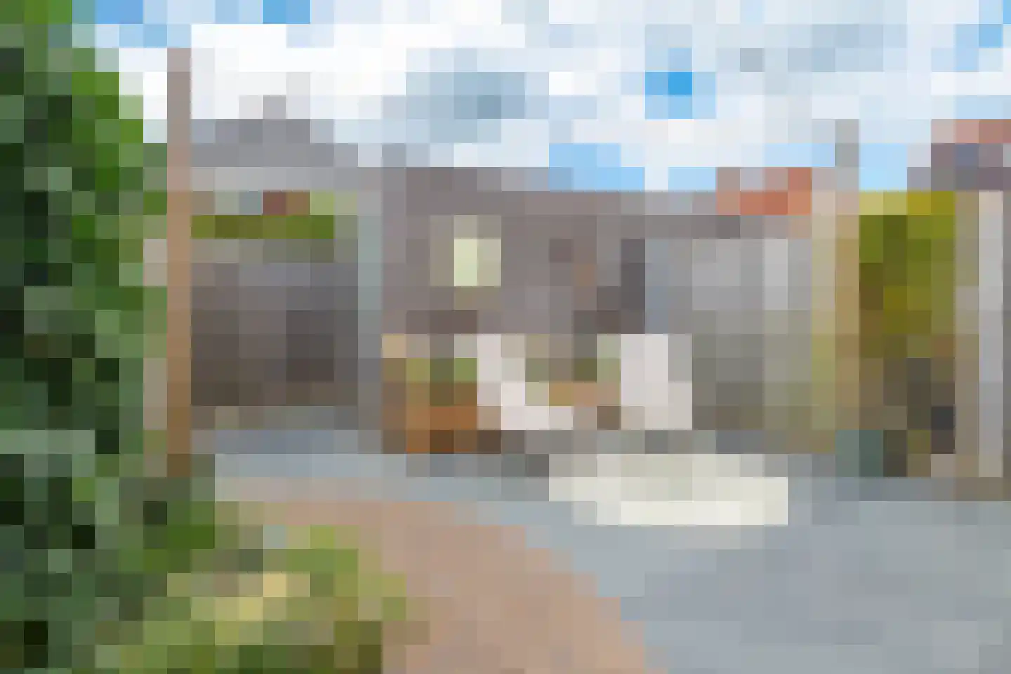 Parelgras 61 Wognum thumbnail 36