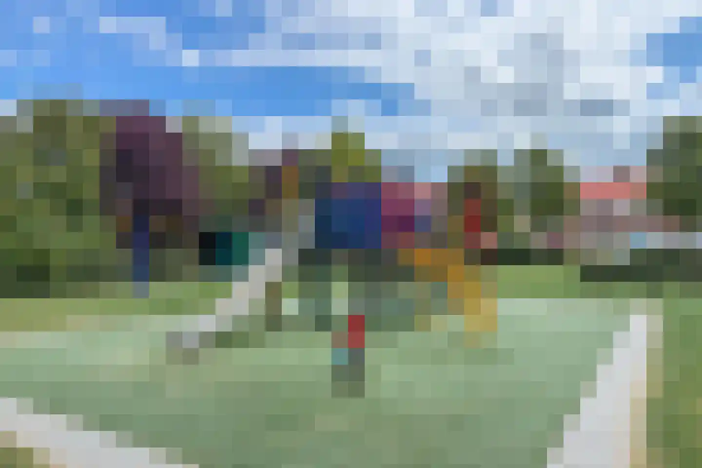 Parelgras 61 Wognum thumbnail 40
