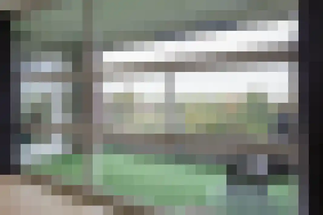Parelgras 80 Houten thumbnail 32