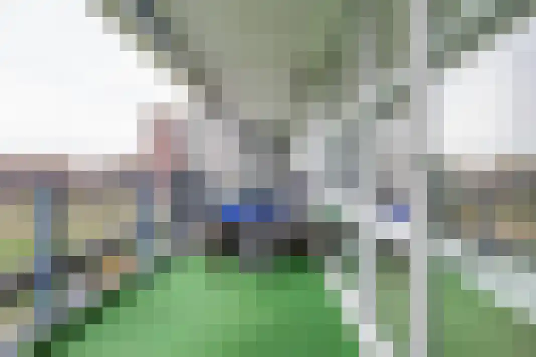 Parelgras 80 Houten thumbnail 33