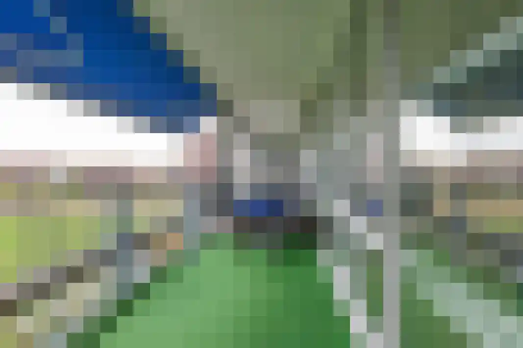 Parelgras 80 Houten thumbnail 34