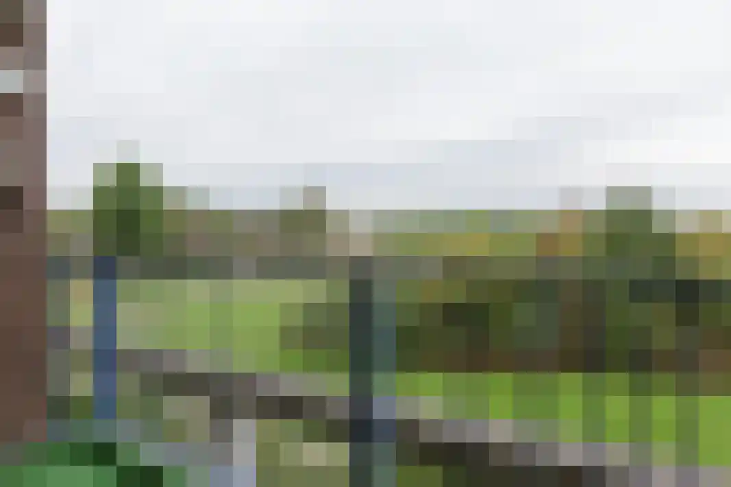 Parelgras 80 Houten thumbnail 35
