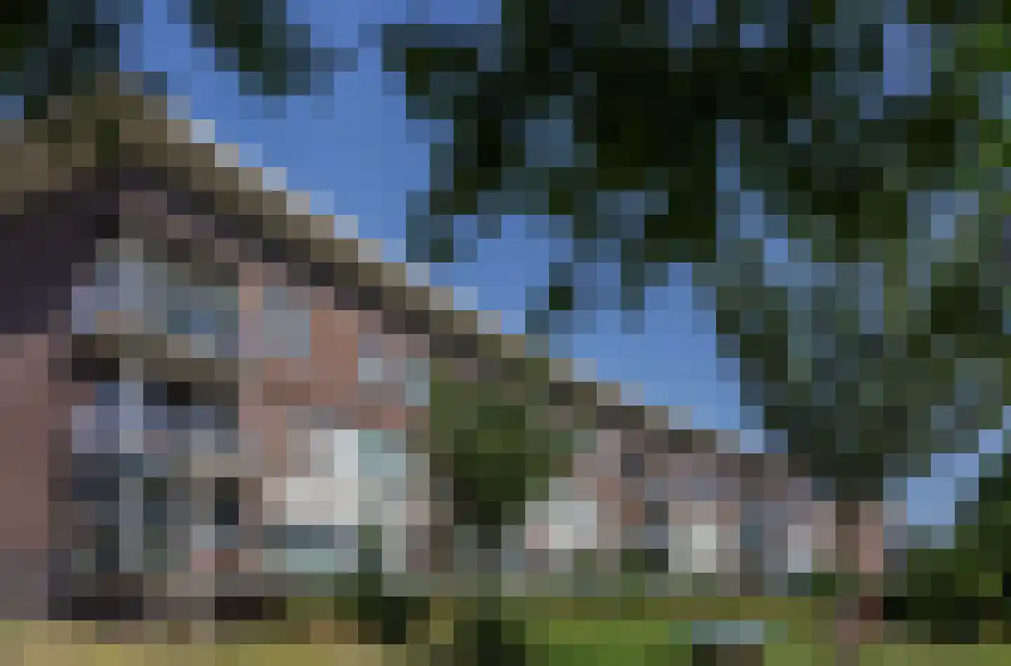 Parelgras 80 Houten thumbnail 4