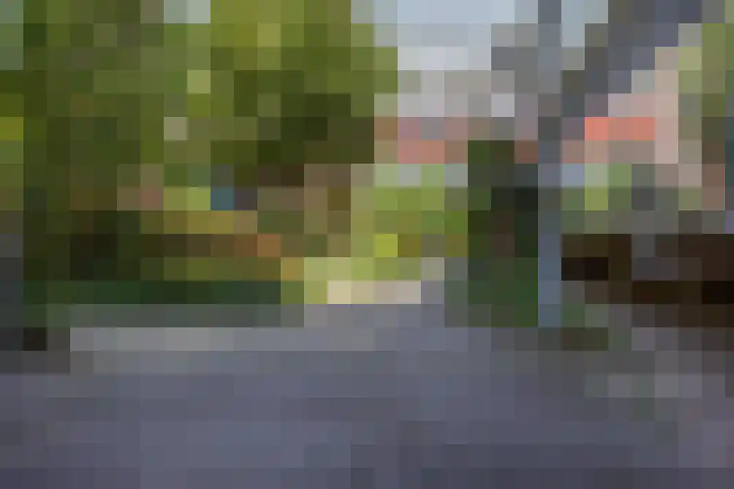 Parelgras 80 Houten thumbnail 4