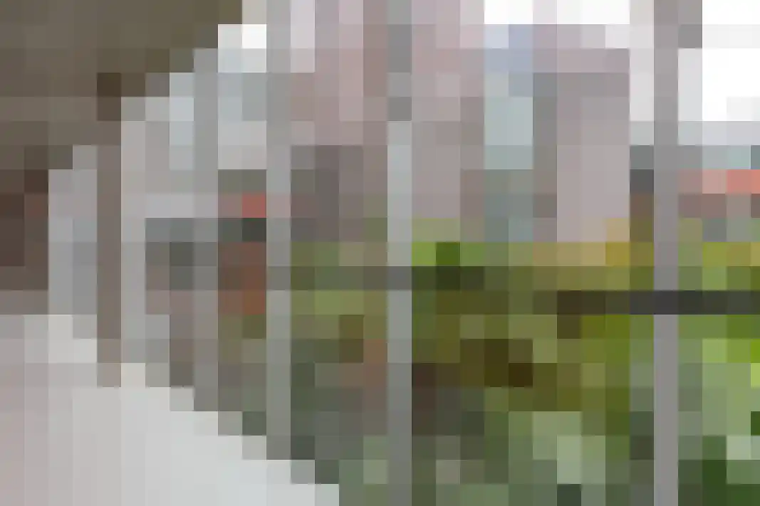 Parelgras 80 Houten thumbnail 43