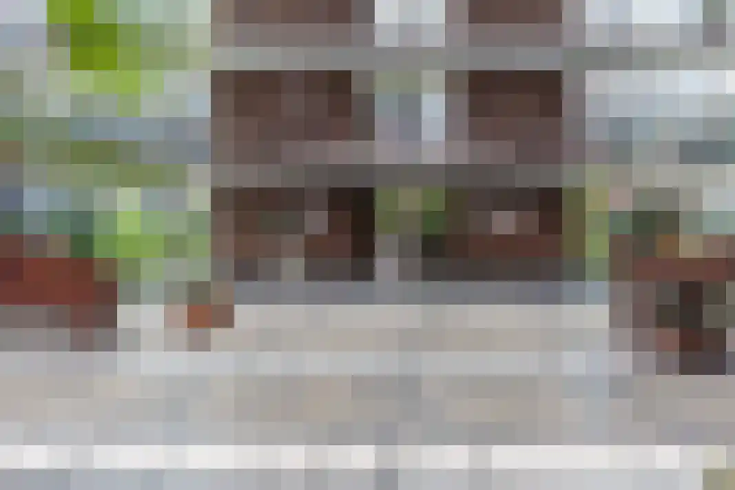Parelgras 80 Houten thumbnail 44