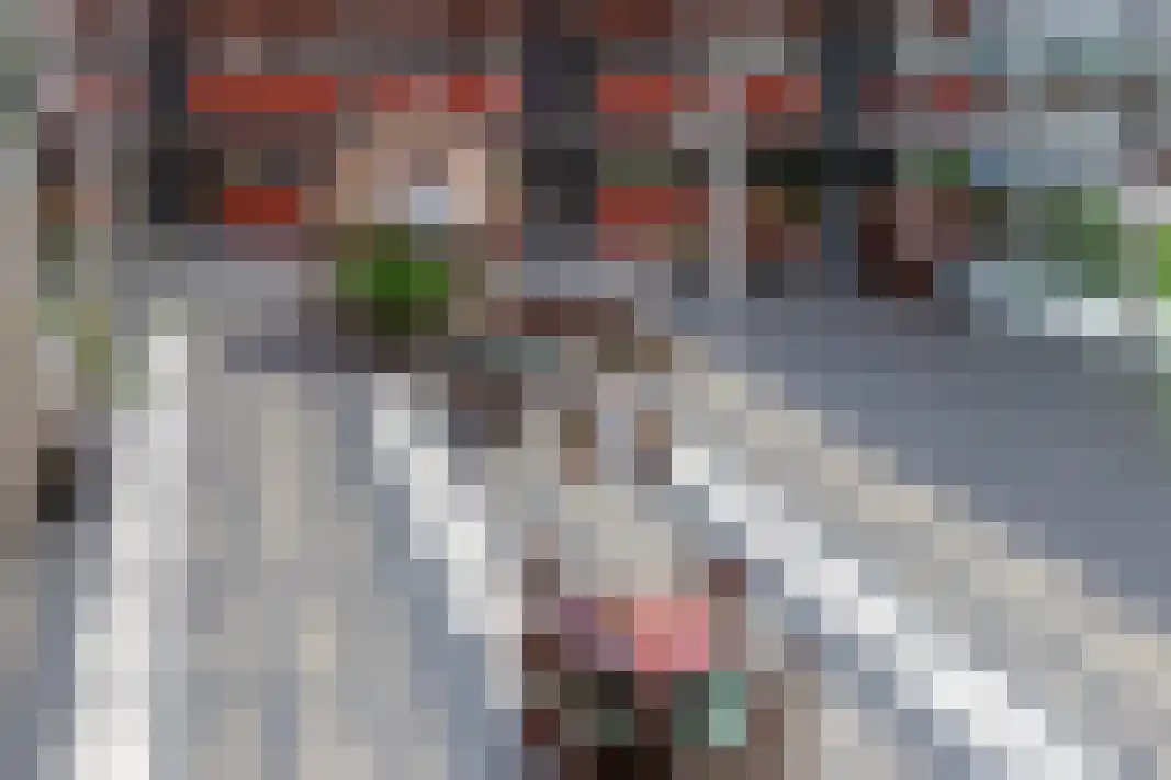 Parelgras 80 Houten thumbnail 45