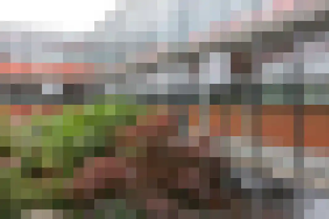 Parelgras 80 Houten thumbnail 47