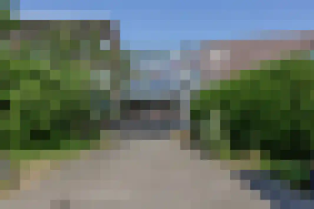 Parelgras 80 Houten thumbnail 48