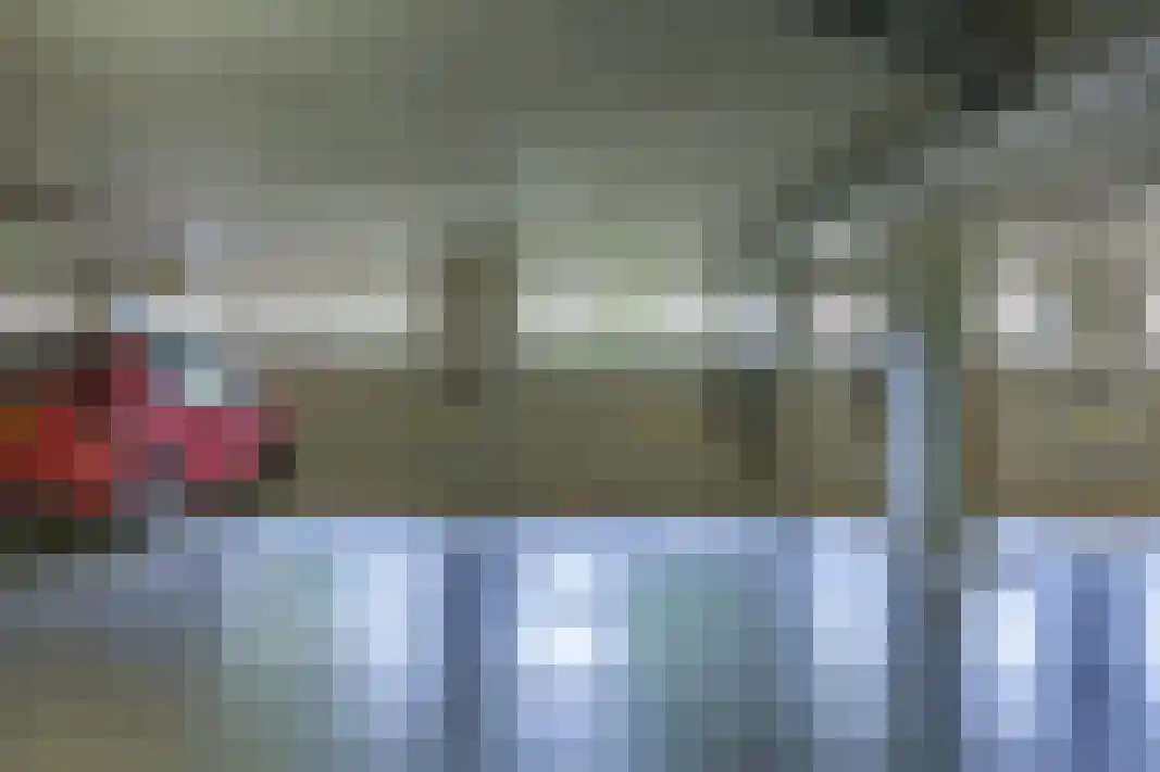 Parelgras 80 Houten thumbnail 51