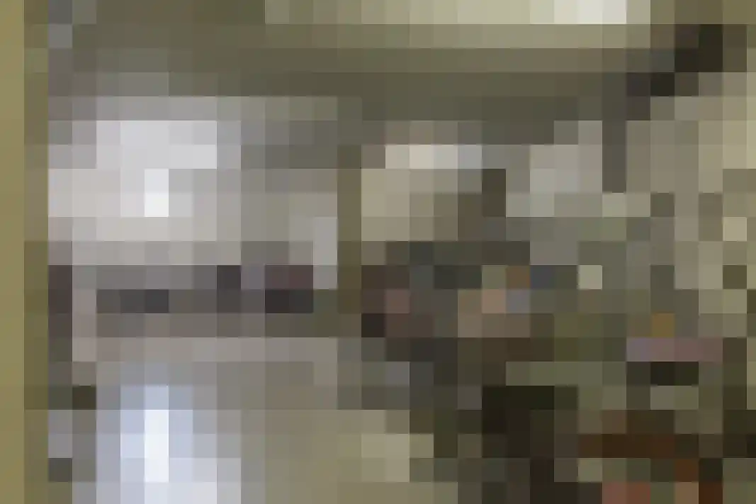 Parelgras 80 Houten thumbnail 53