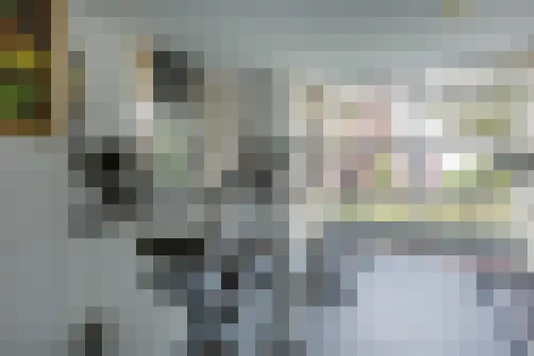 Parelgras 80 Houten thumbnail 58