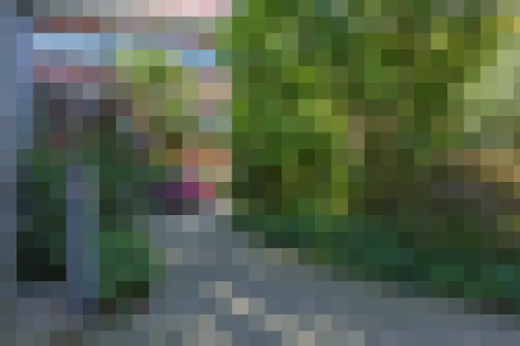 Parelgras 80 Houten thumbnail 60