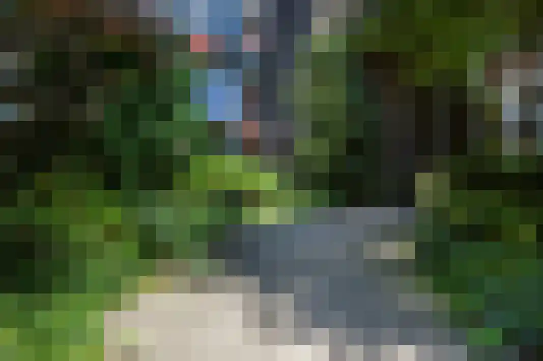 Parelgras 80 Houten thumbnail 63