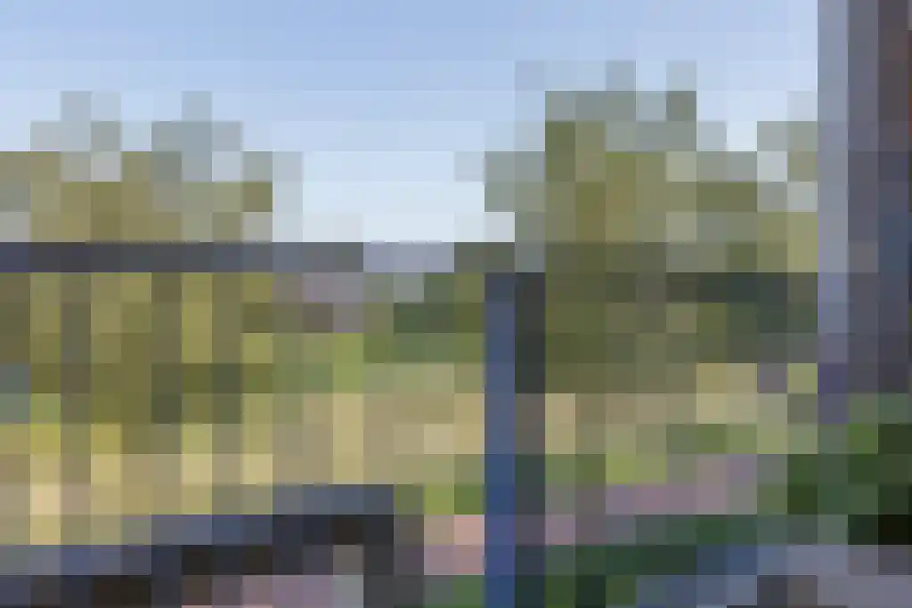 Parelgras 86 Houten thumbnail 51