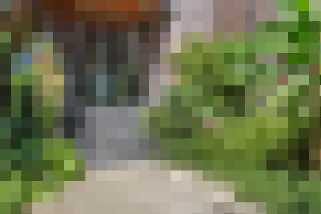 Parelgras 86 Houten thumbnail 68