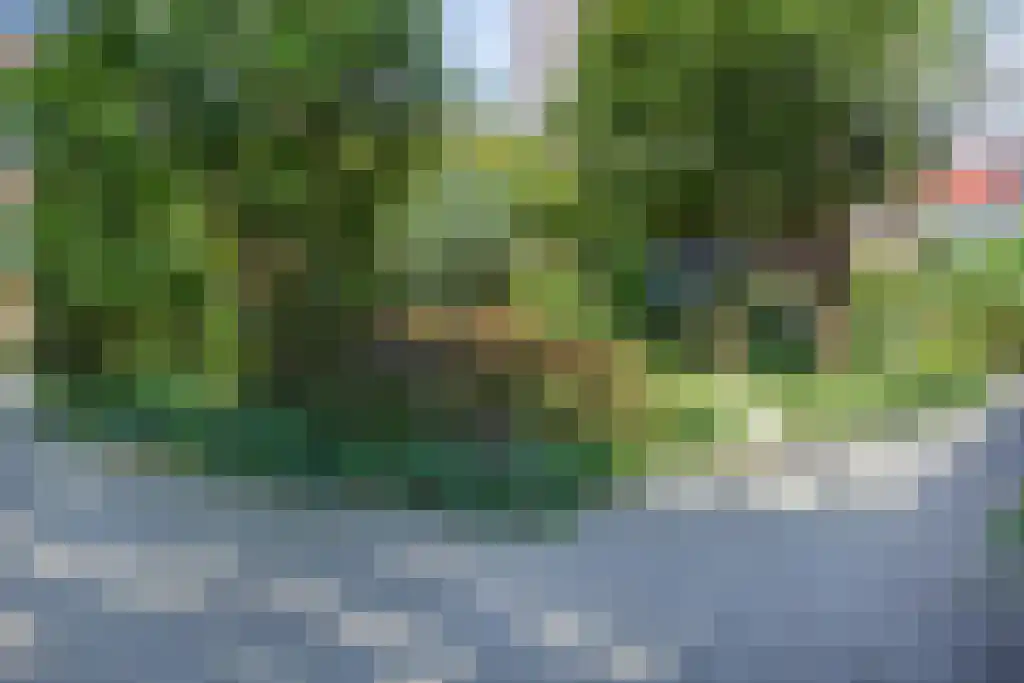 Parelgras 86 Houten thumbnail 69