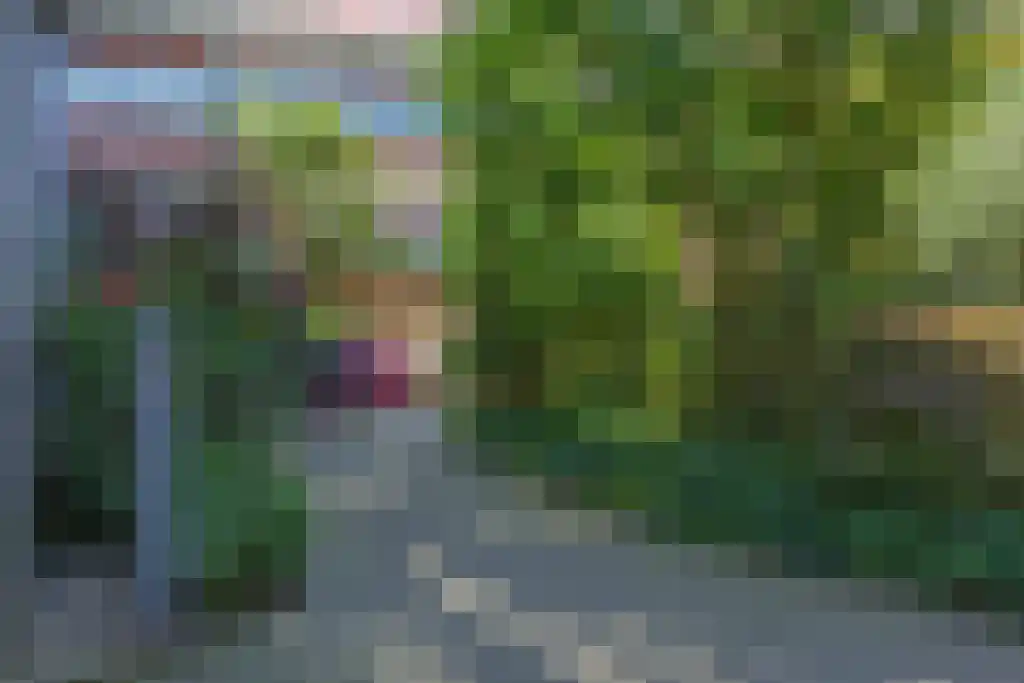 Parelgras 86 Houten thumbnail 70