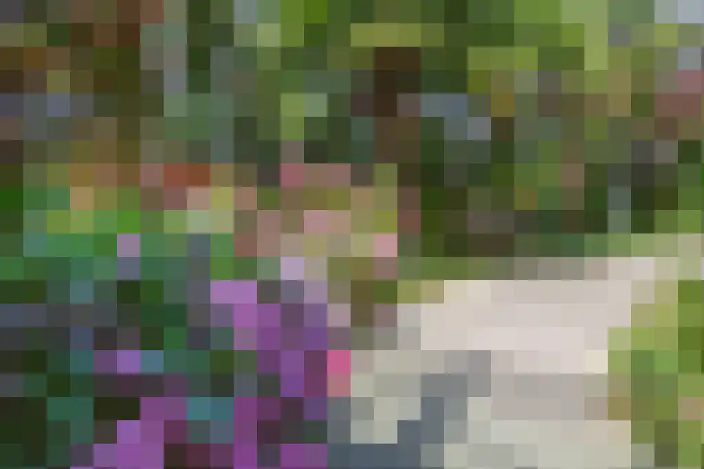 Parelgras 86 Houten thumbnail 71