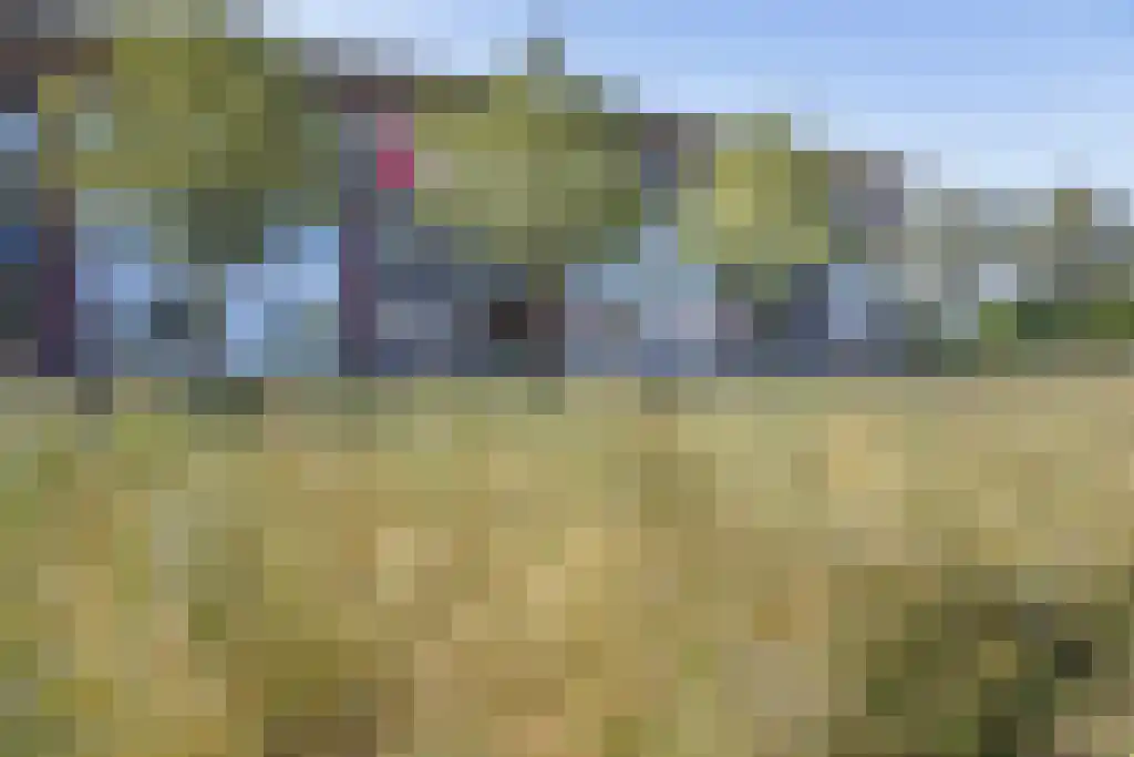 Parelgras 86 Houten thumbnail 75