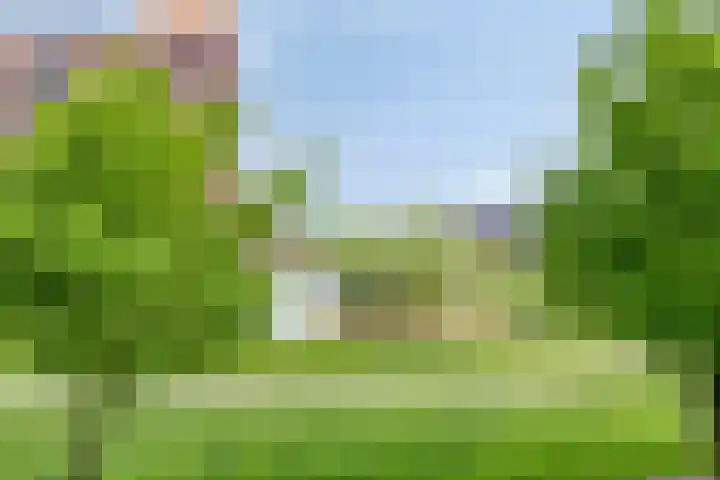 Parelgras 88 Houten thumbnail 10