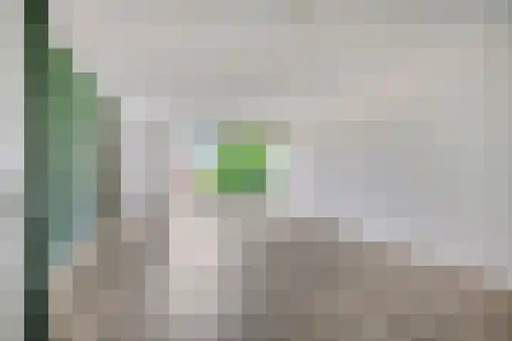 Parelgras 88 Houten thumbnail 4