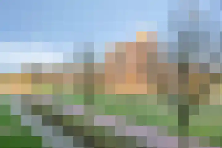 Parelgras 92 Houten thumbnail 15