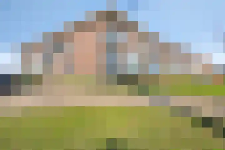 Parelgras 92 Houten thumbnail 32