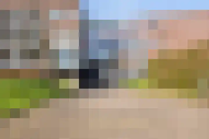 Parelgras 92 Houten thumbnail 33
