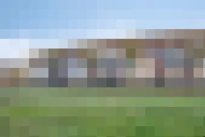 Parelgras 92 Houten thumbnail 35