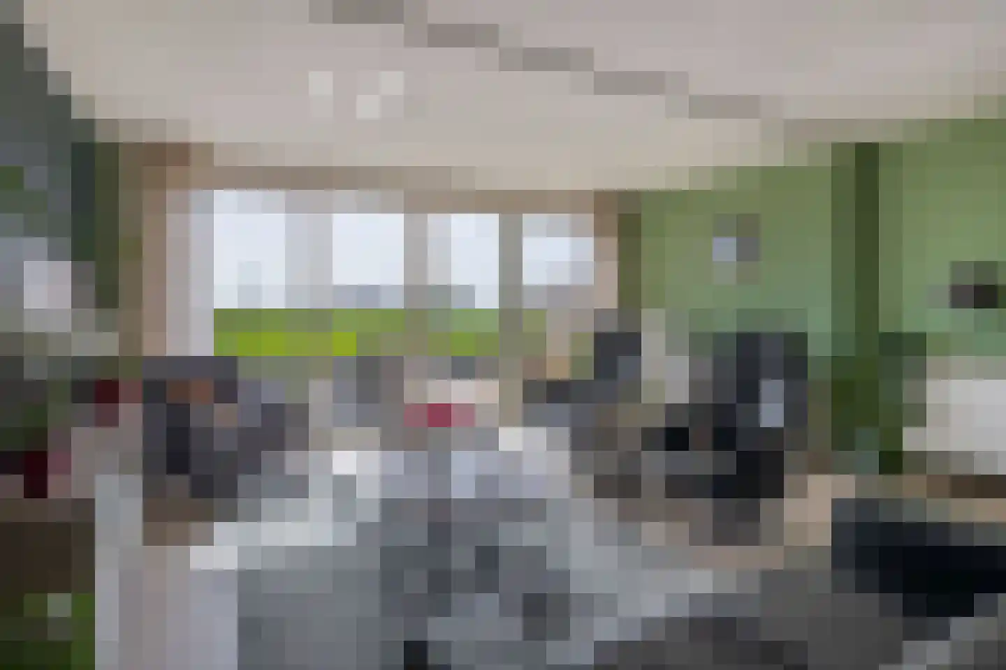 Parelgras 96 Spijkenisse thumbnail 11