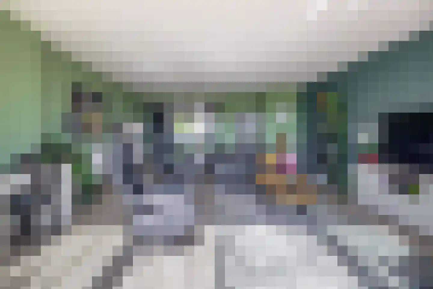 Parelgras 96 Spijkenisse thumbnail 14