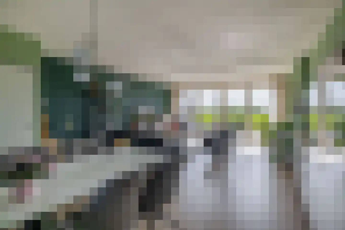 Parelgras 96 Spijkenisse thumbnail 18