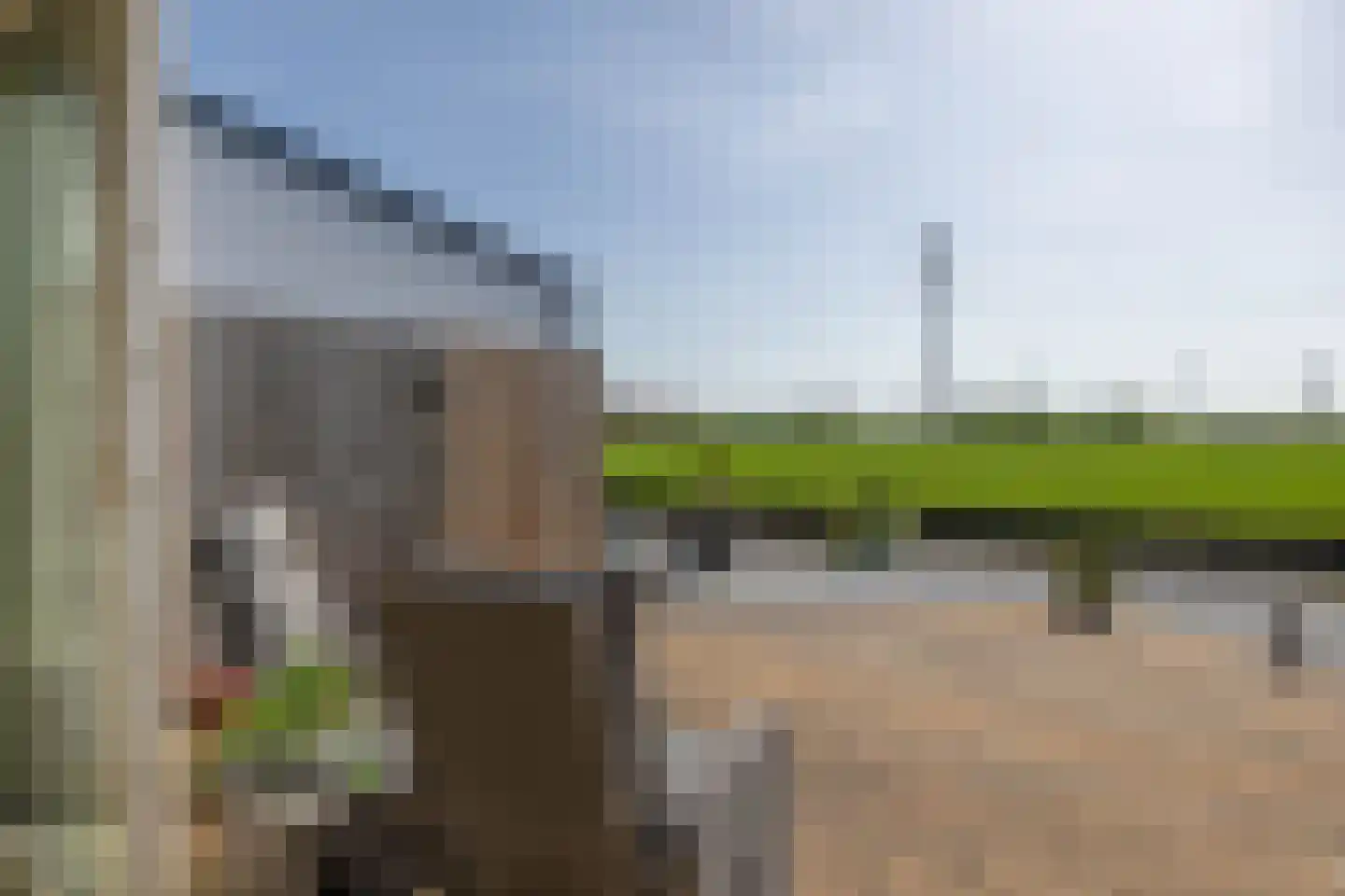 Parelgras 96 Spijkenisse thumbnail 24
