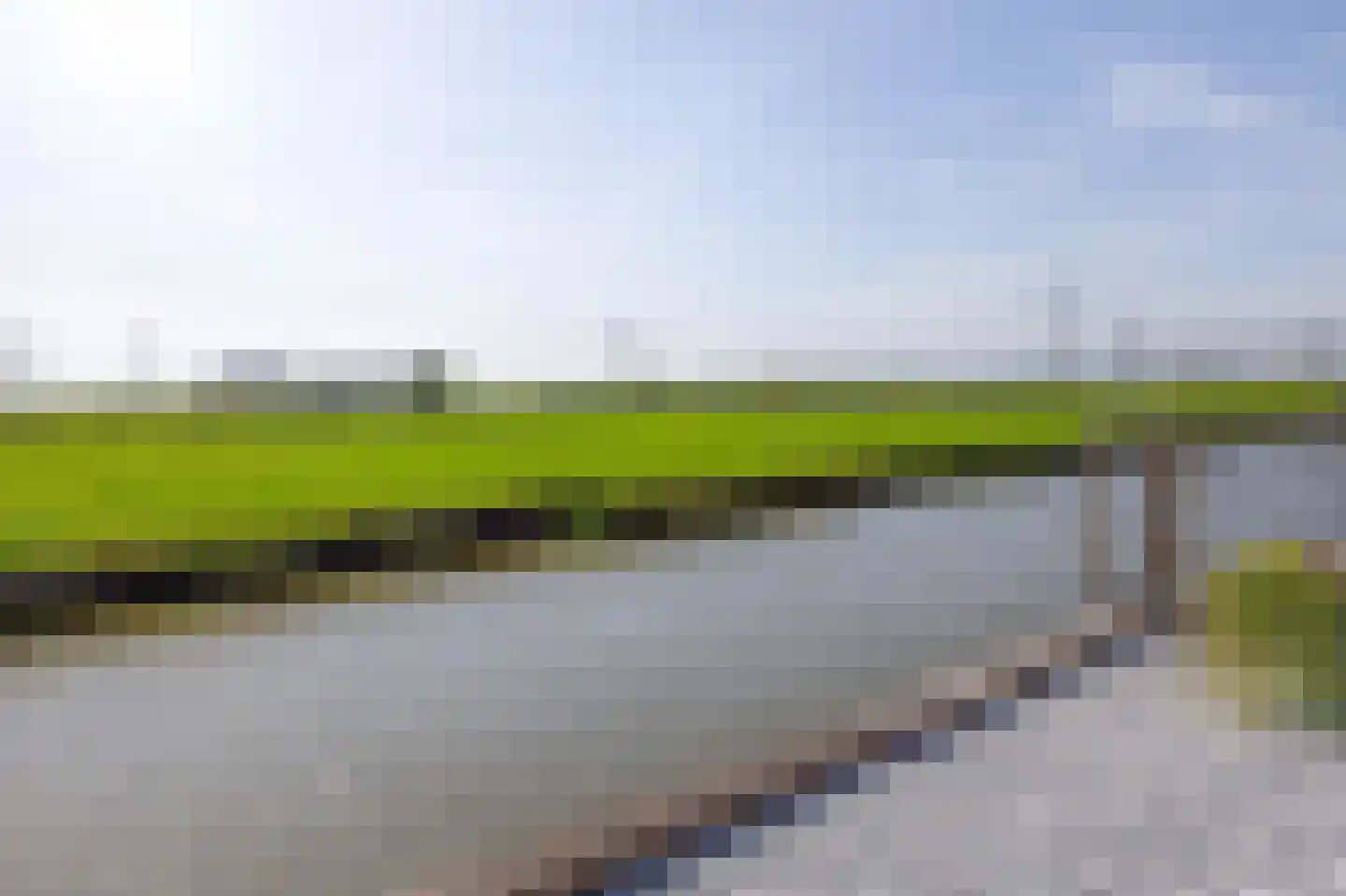 Parelgras 96 Spijkenisse thumbnail 26