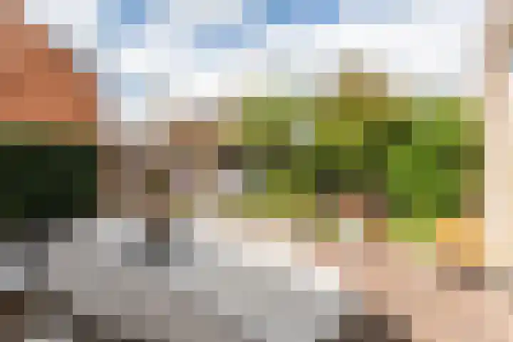 Parelgraslaan 53 Rijswijk thumbnail 11