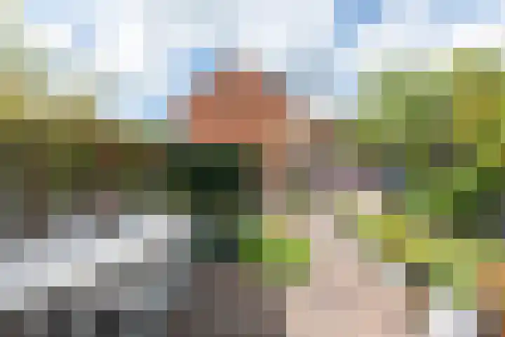 Parelgraslaan 53 Rijswijk thumbnail 12