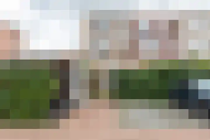 Parelgraslaan 53 Rijswijk thumbnail 13